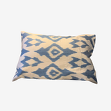 DanMas | Ikat Cushions