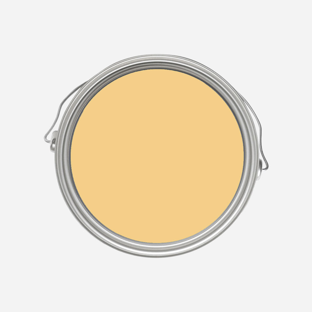 Farrow and Ball | No.218 Yellow Ground