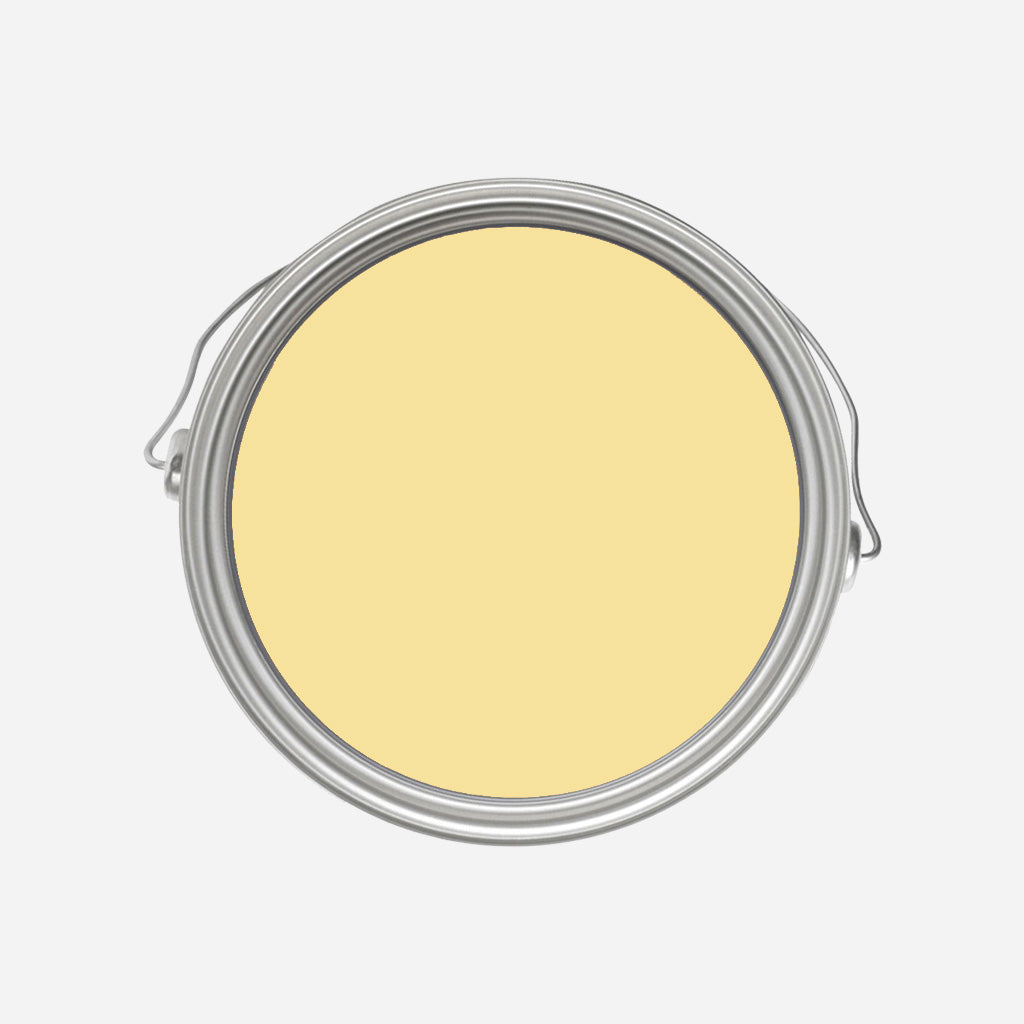 Farrow and Ball | No.233 Dayroom Yellow