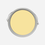 Farrow and Ball | No.233 Dayroom Yellow