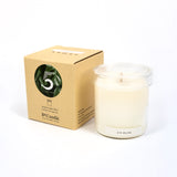 513 Paint Shop x BeCandle | 5-Vegetal Candle