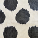 DanMas | Ikat Cushions
