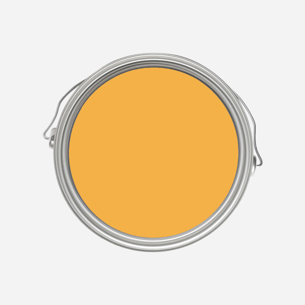 Farrow and Ball | No.W76 Dutch Orange