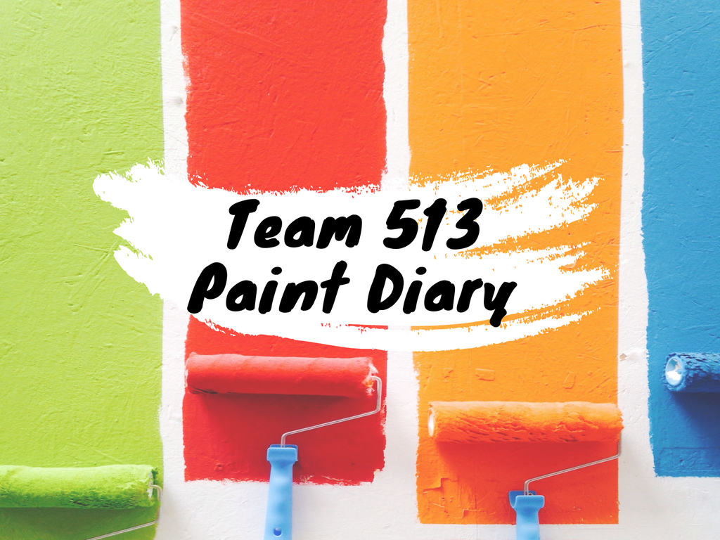 Launch of Team 513 Paint Diary: Know Your Paint!