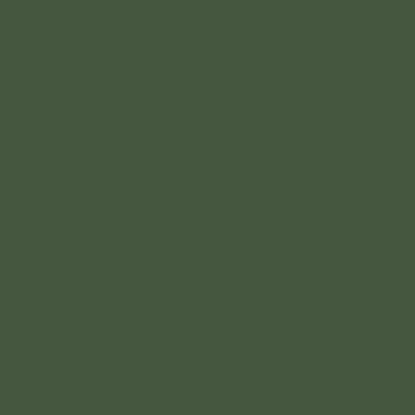 Farrow and Ball | No.W55 Duck Green