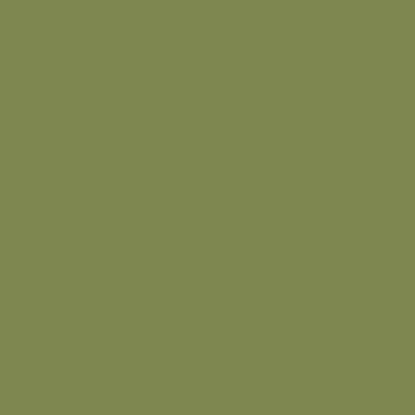 Farrow and Ball | No.W56 Sap Green